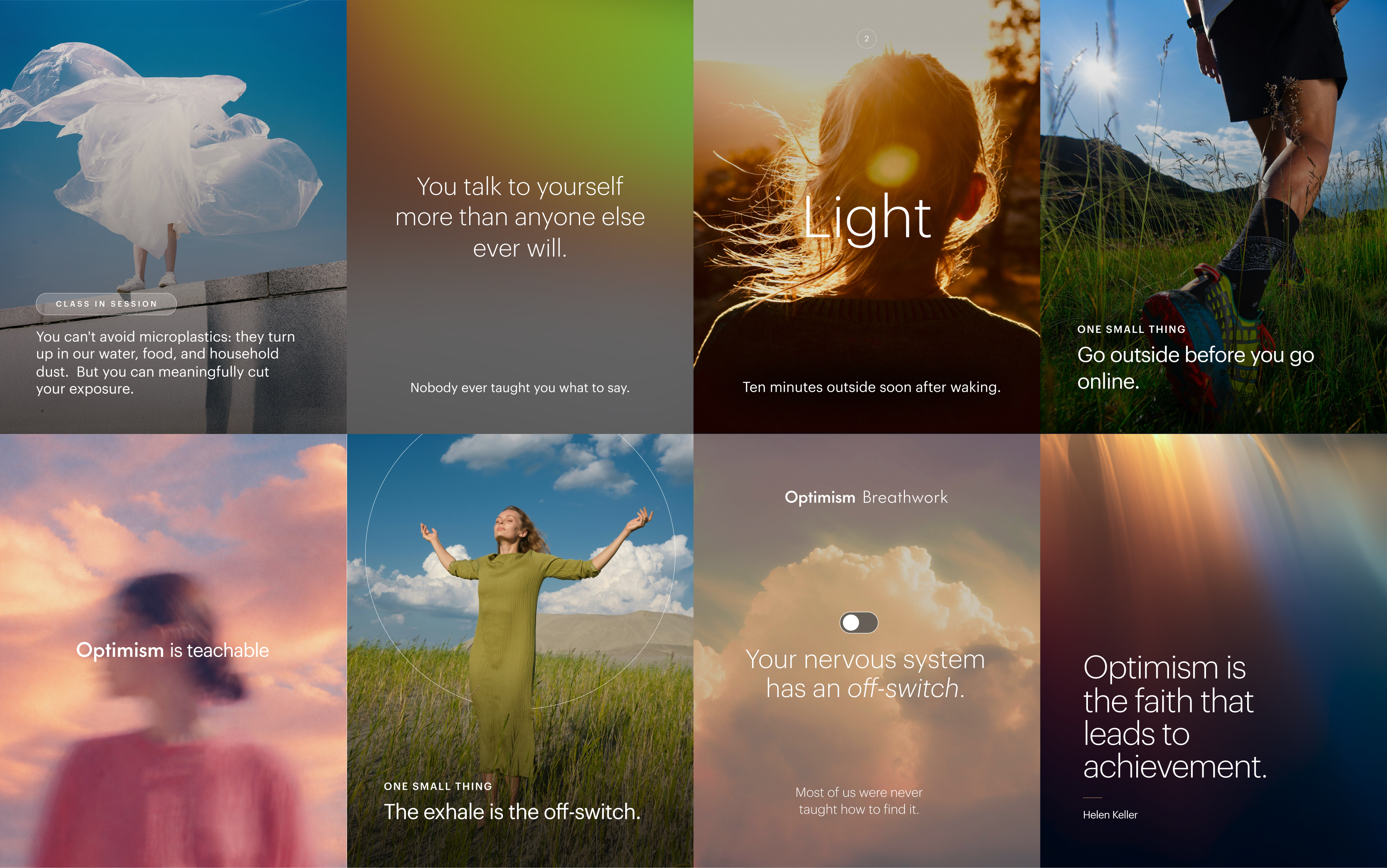 Optimism social media system